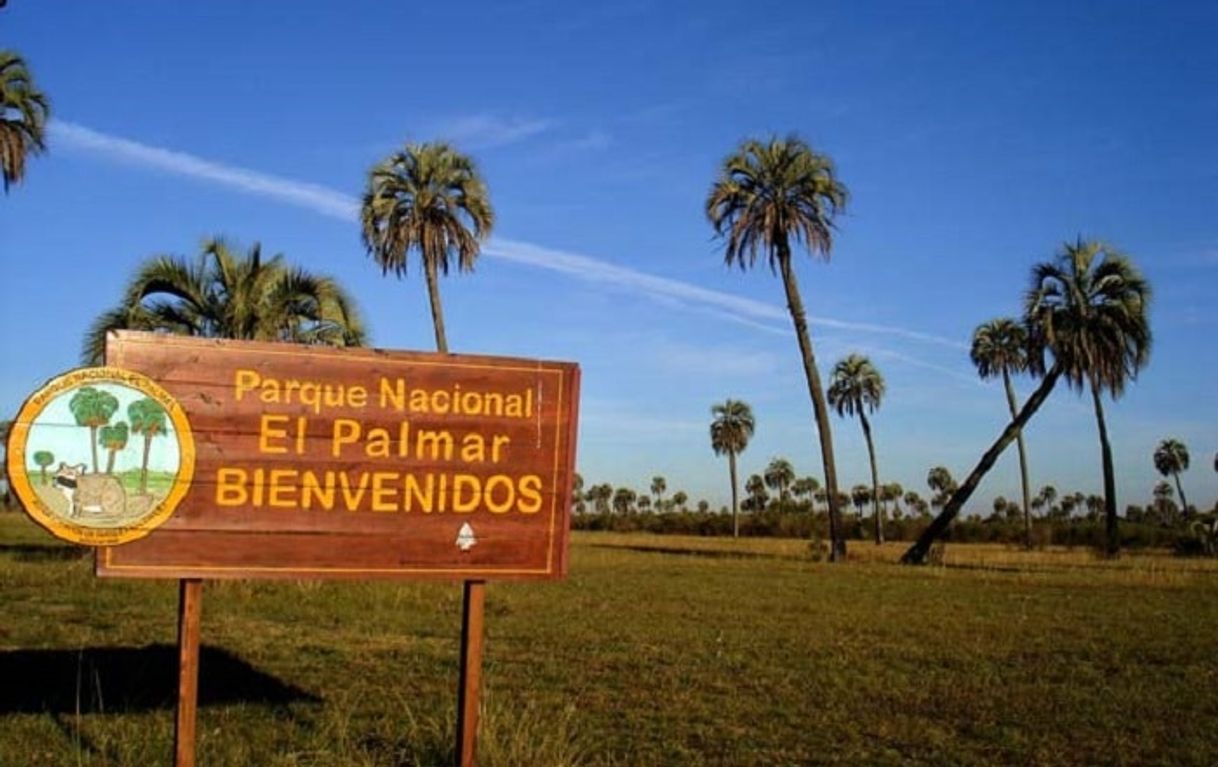 Lugares Parque Nacional El Palmar