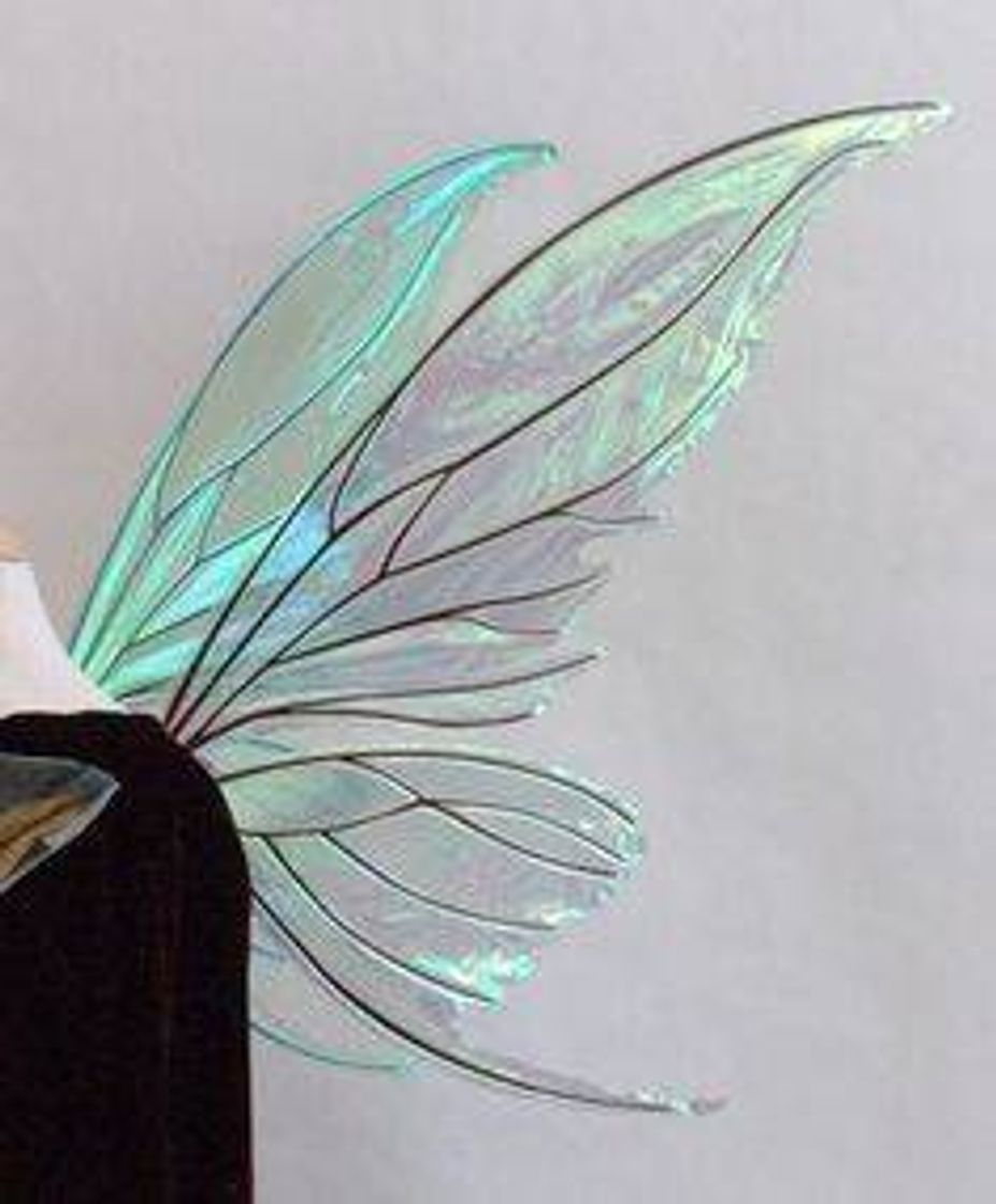 Moda Fairy Wing