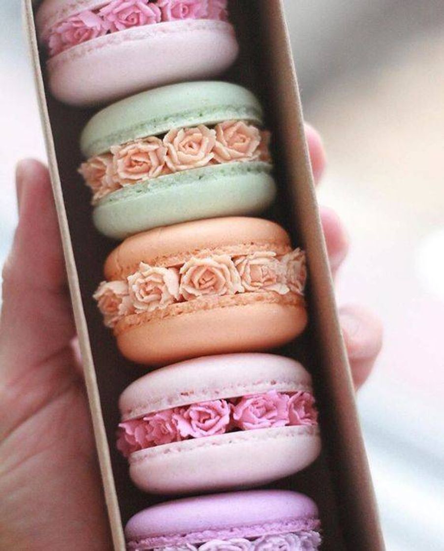 Fashion Macaron