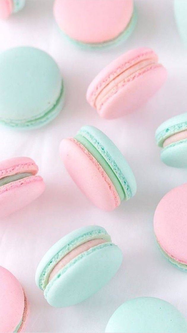 Fashion Macaron 