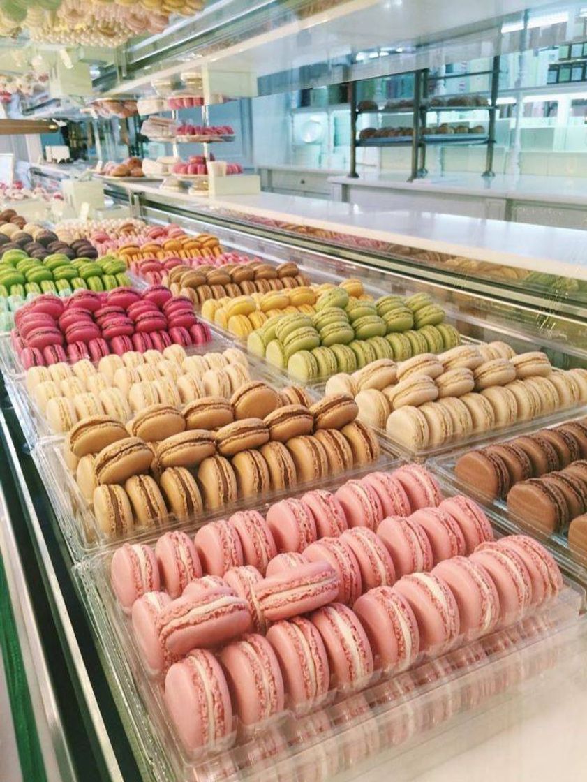 Fashion Macaron 