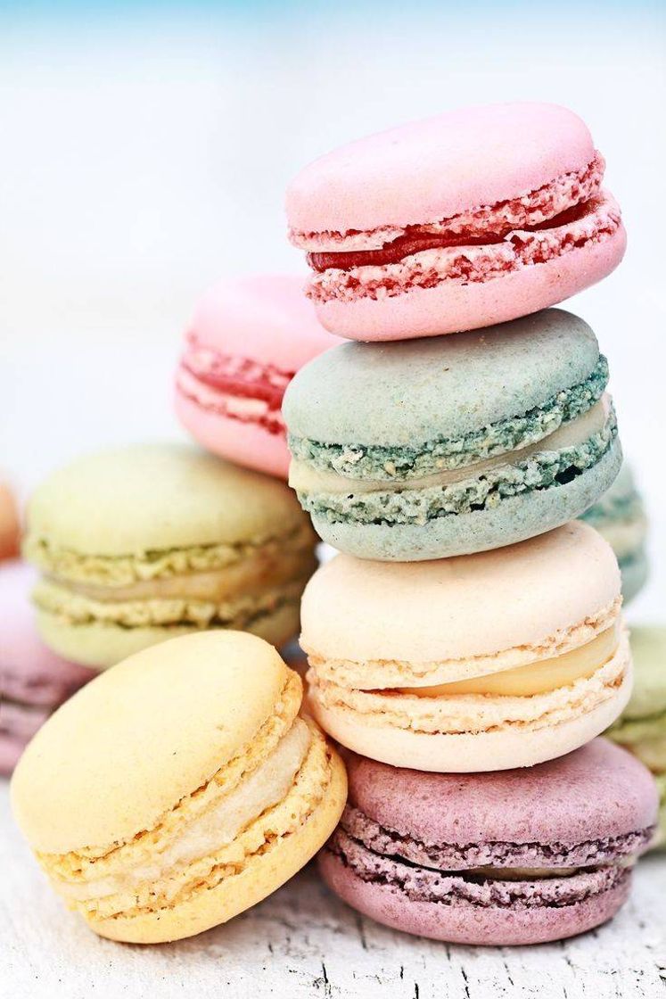 Fashion Macaron 