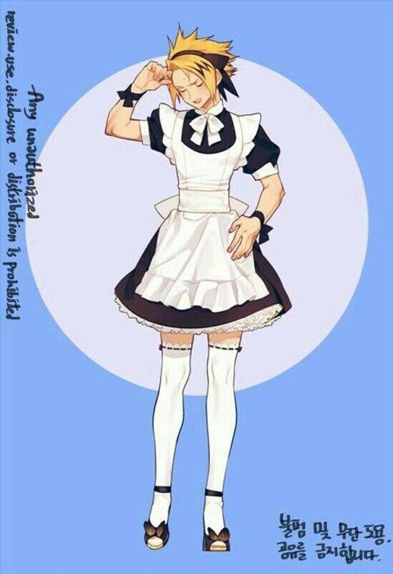 Moda Maid dress