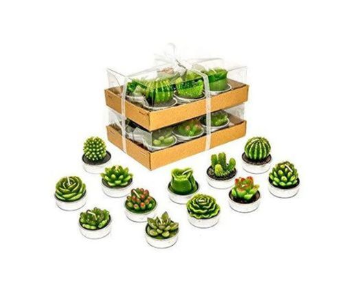 12 Mini Plants