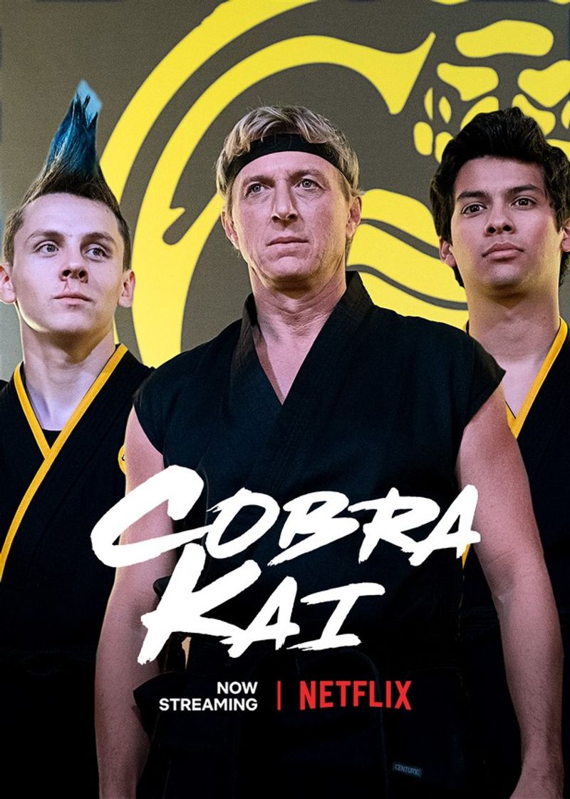 Serie Cobra Kai