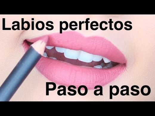 Labios perfectos PASO A PASO para PRINCIPIANTES - YouTube