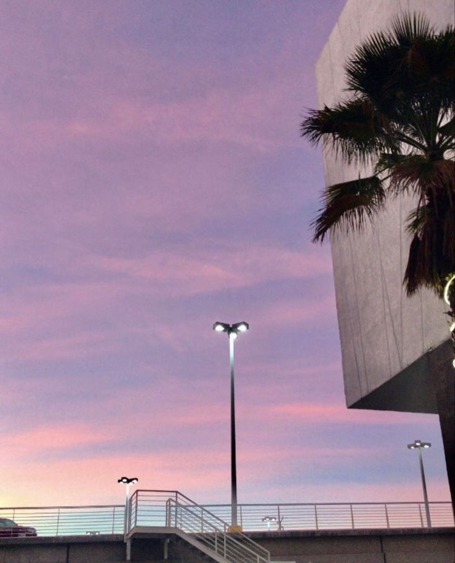 Social Sunset 💜🤍💙