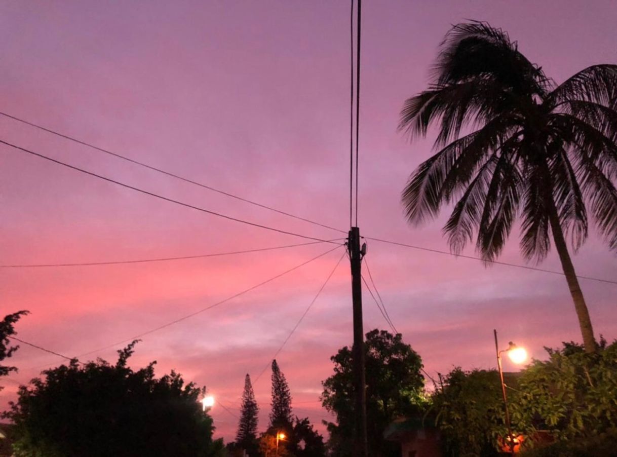 Social Sunset 💜🤍💙