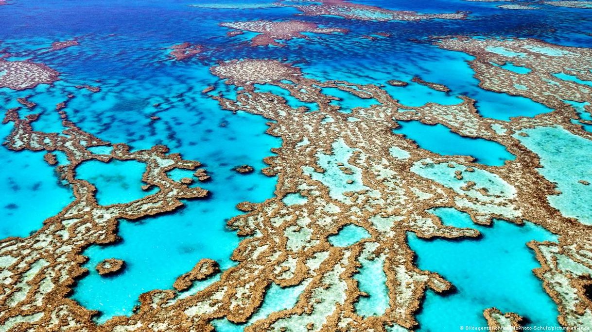 Places Great Barrier Reef