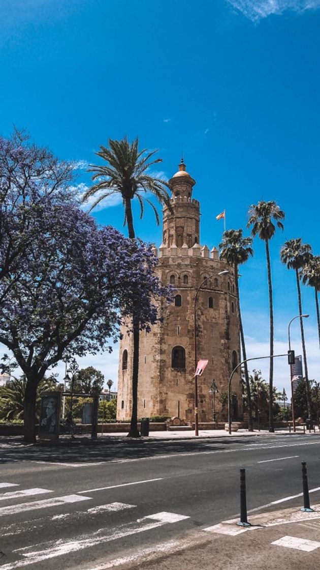 Place Torre del Oro