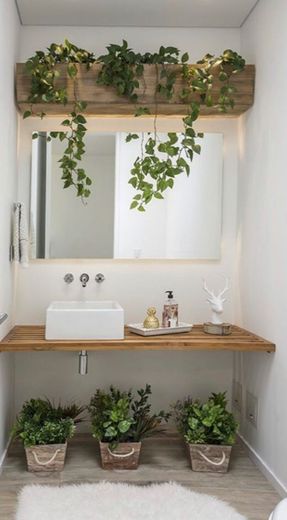 Lavabo com a junção de pendente e plantas 💡🌿