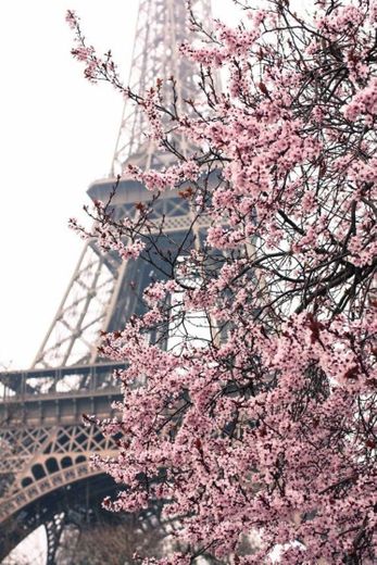 Torre Eiffel 💖