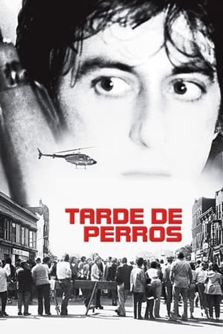 Película Tarde de perros
