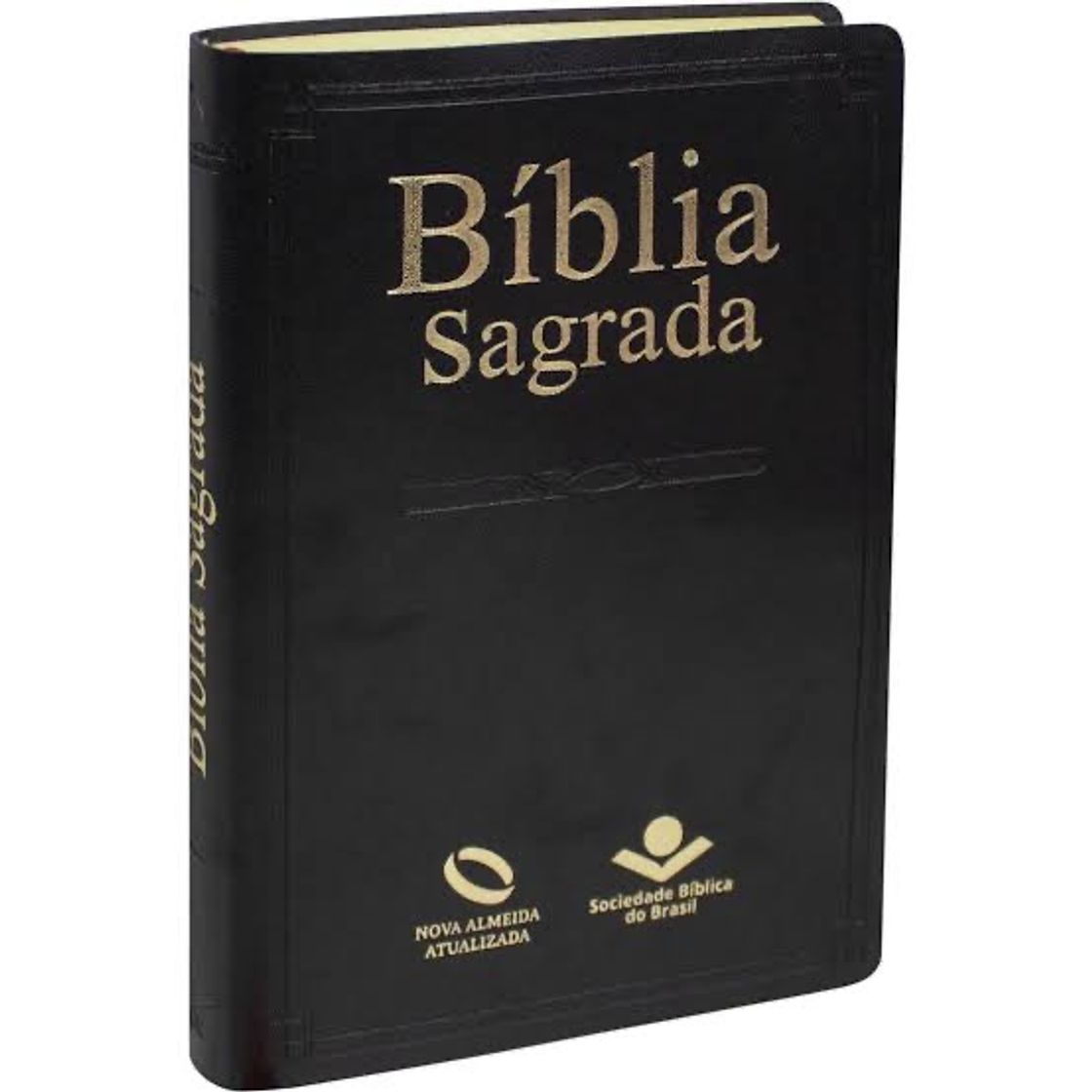 Book Sagrada Biblia version oficial de la cee