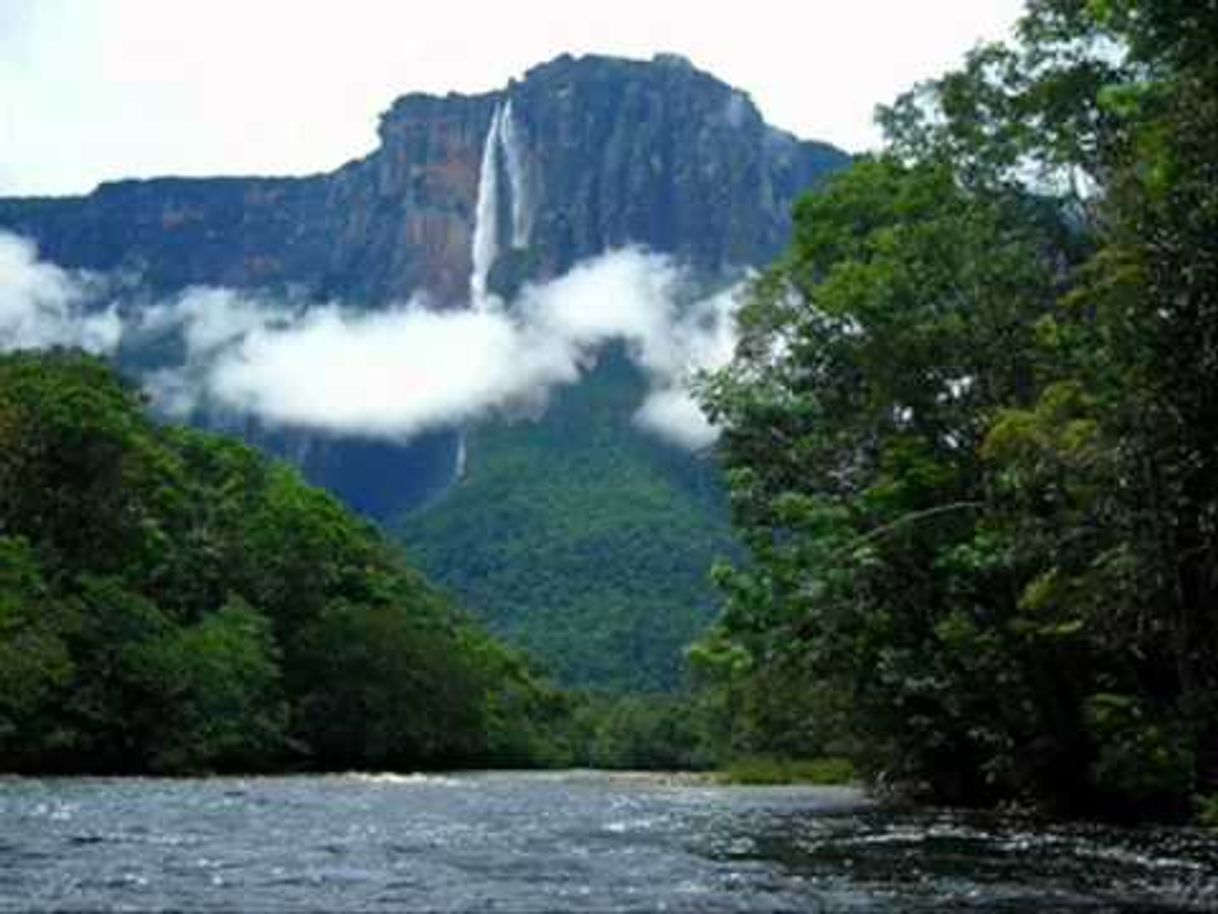 Lugar La Gran Sabana_ Venezuela 