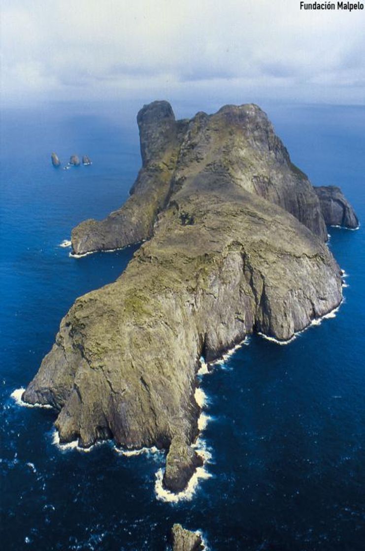 Place Isla de Malpelo