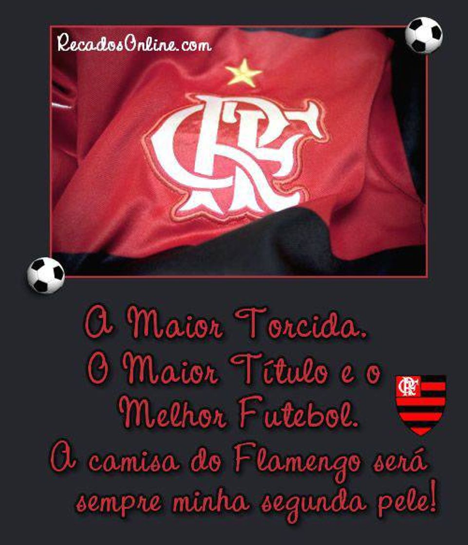 Social Louco 