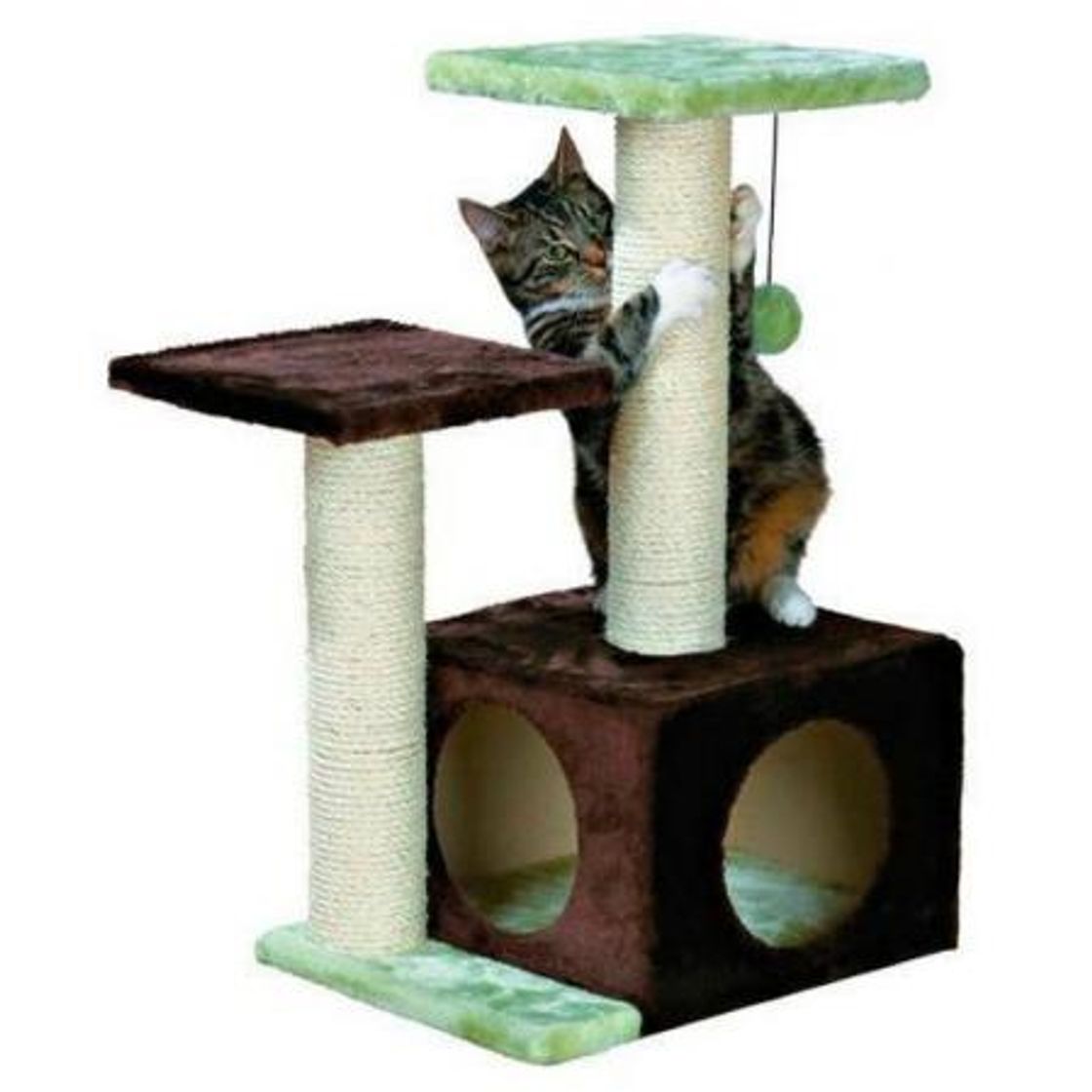 Social Juguetes para gatos