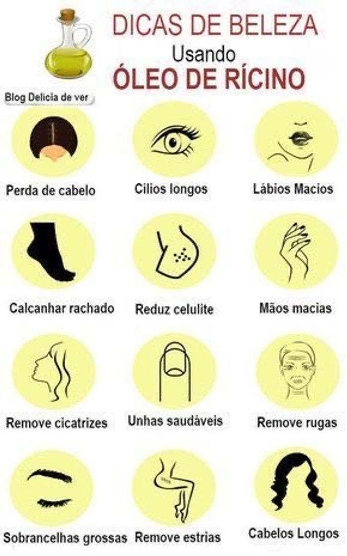 Fashion Receitas caseiras