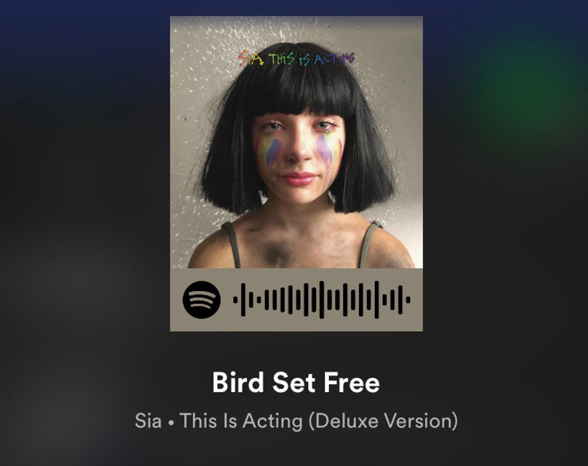 Music Bird Set free