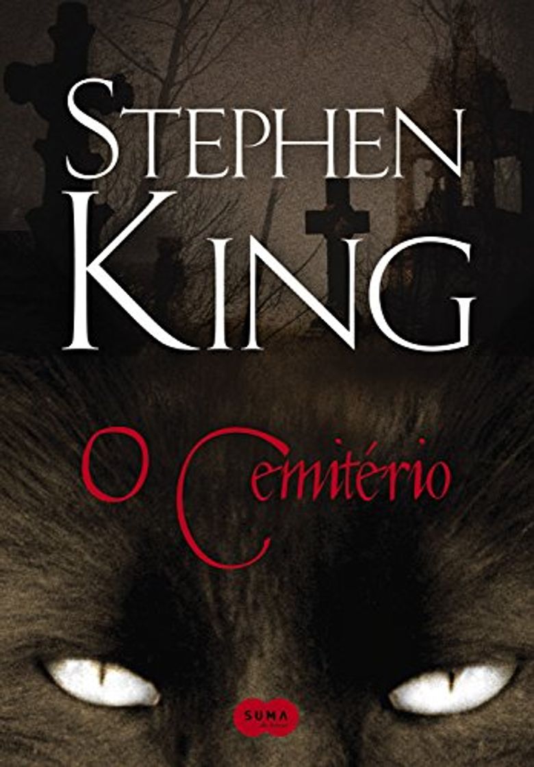 Libro O cemitério