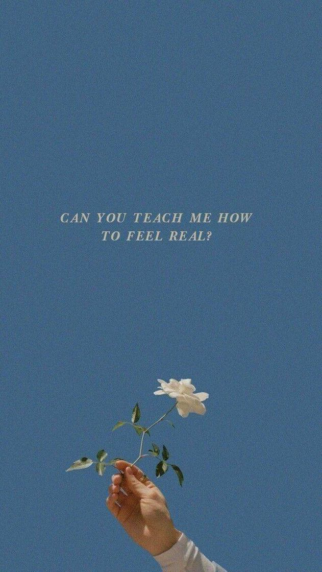 Social wallpaper "to feel real?" 