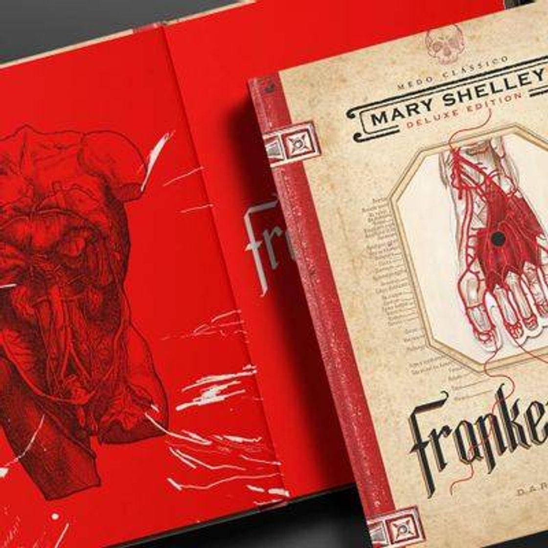 Libro Frankenstein - DarkSide Books