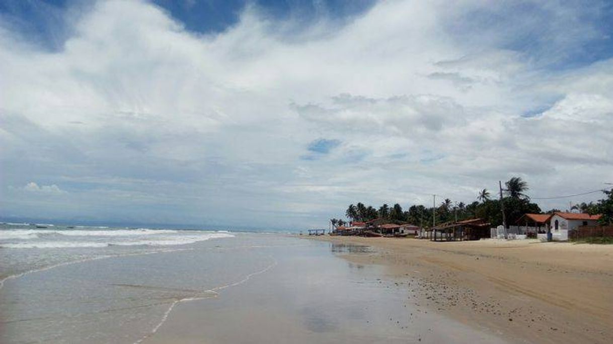 Moda Praia da baleia 🏖️🐋