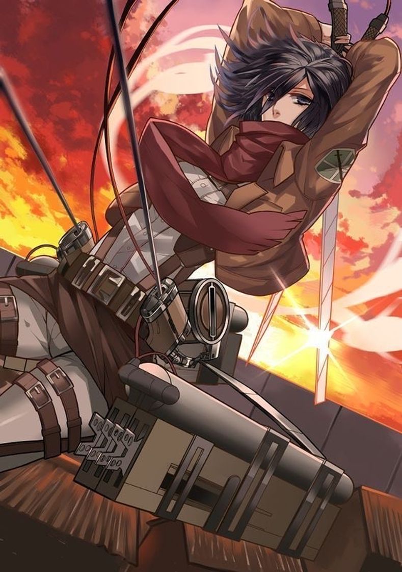 Moda Mikasa 