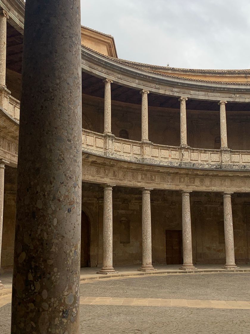 Place Palacio de Carlos V