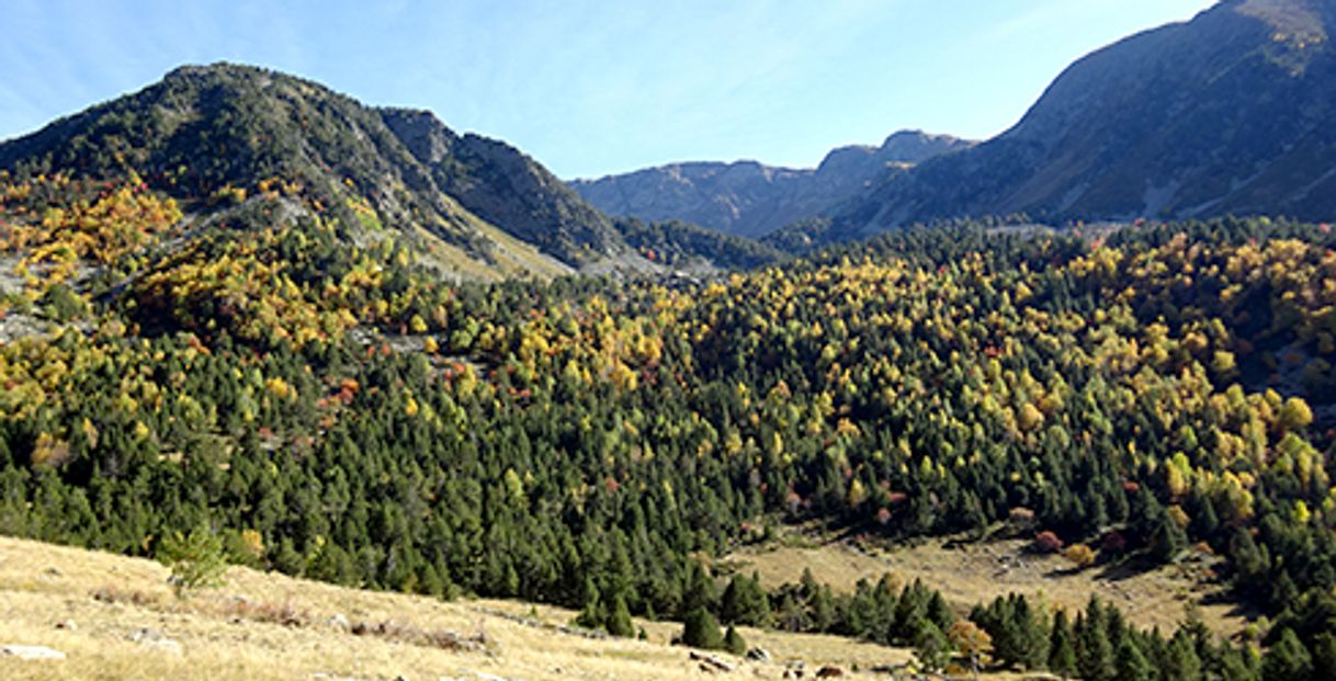 Place Parc Natural de la Vall de Sorteny