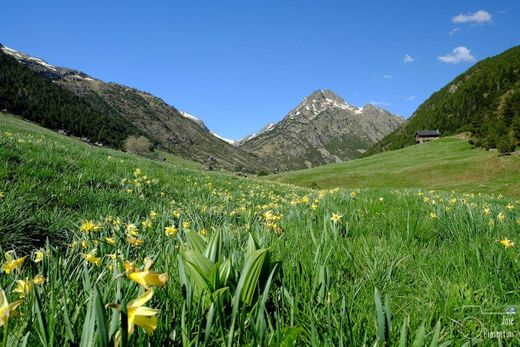 Vall D'Incles