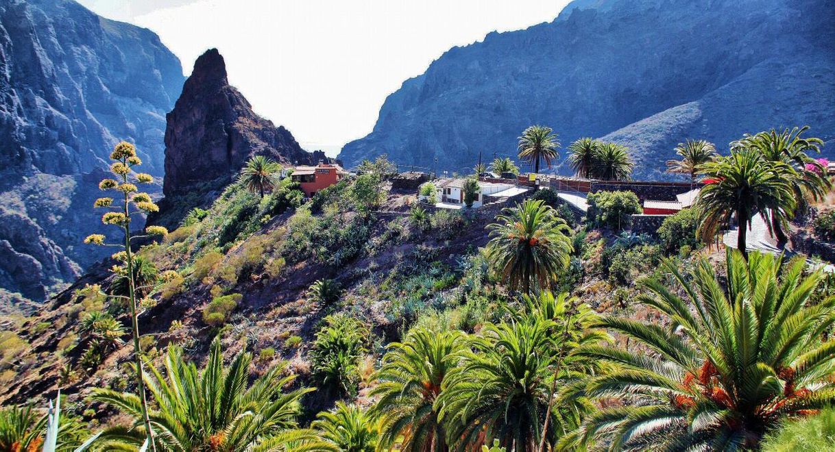 Lugar Barranco de Masca