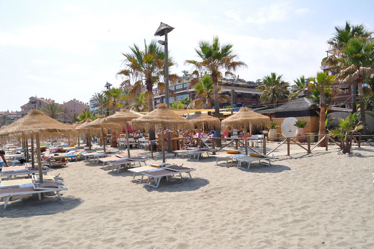 Restaurants Mistral Beach