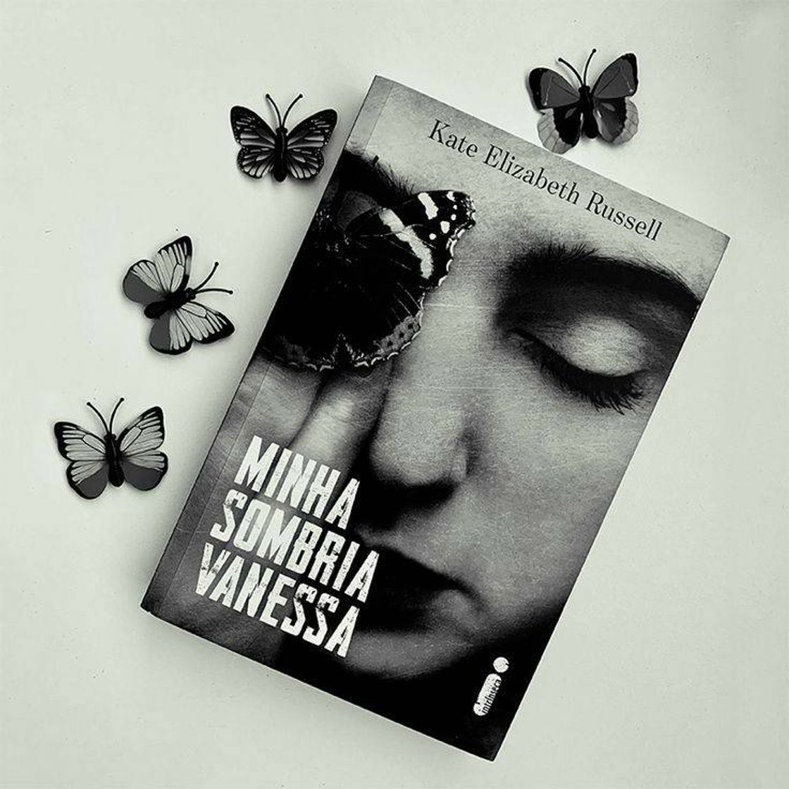 Book Minha Sombria Vanessa