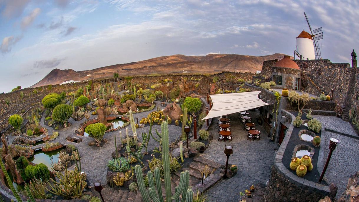 Lugar Jardín de Cactus de Lanzarote