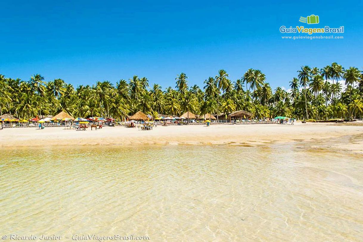 Lugar Praia dos Carneiros