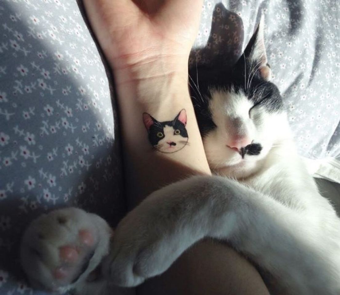 Social Amor 🐈 