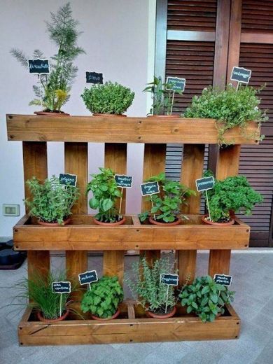 Idéia super simples para você colocar suas plantas ✨✴️💢