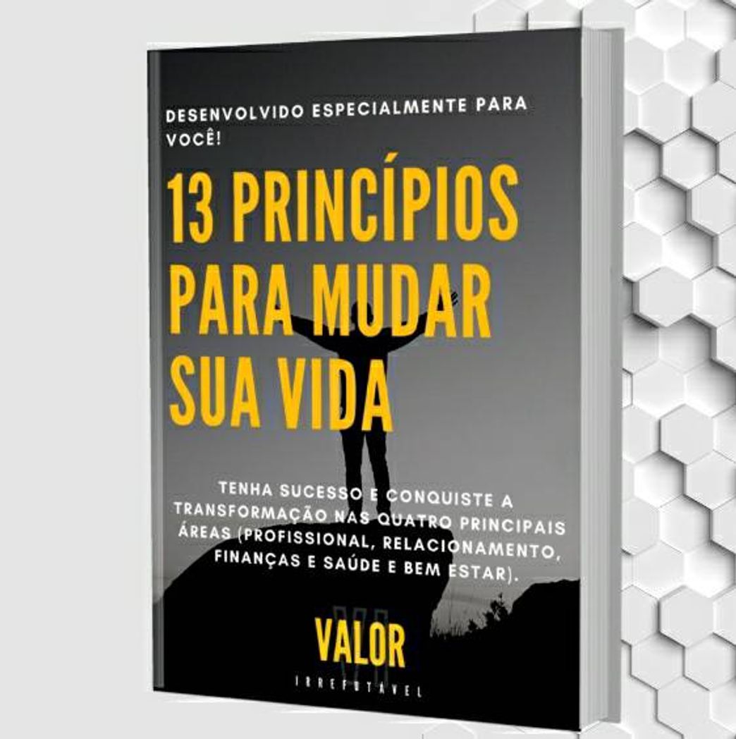 Book 13 Princípios para mudar sua vida