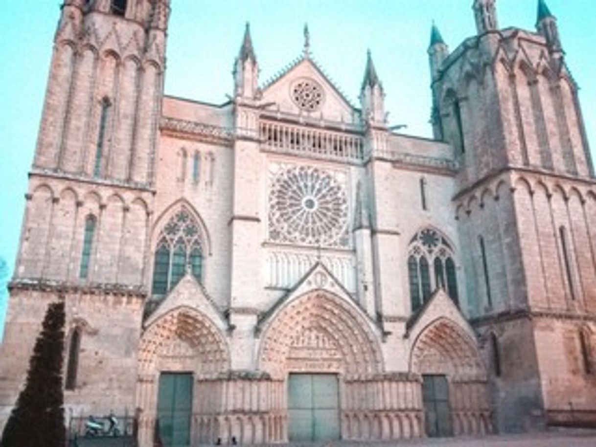 Lugar Catedral de San Pedro de Montpellier