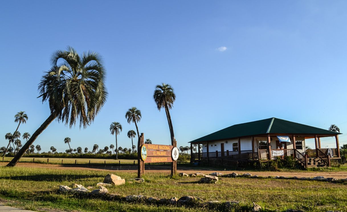Place Parque Nacional El Palmar