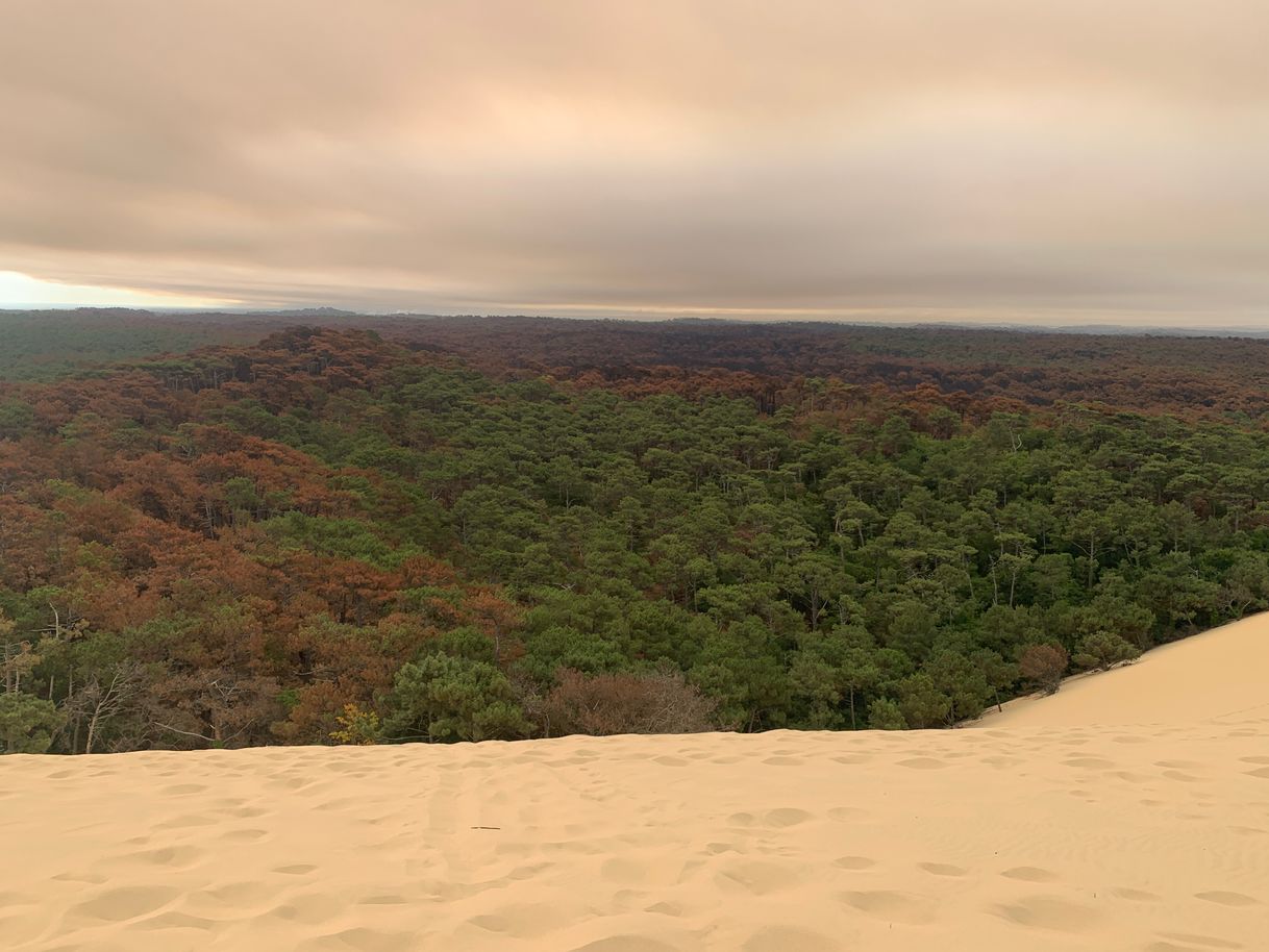 Place Dune du Pilat