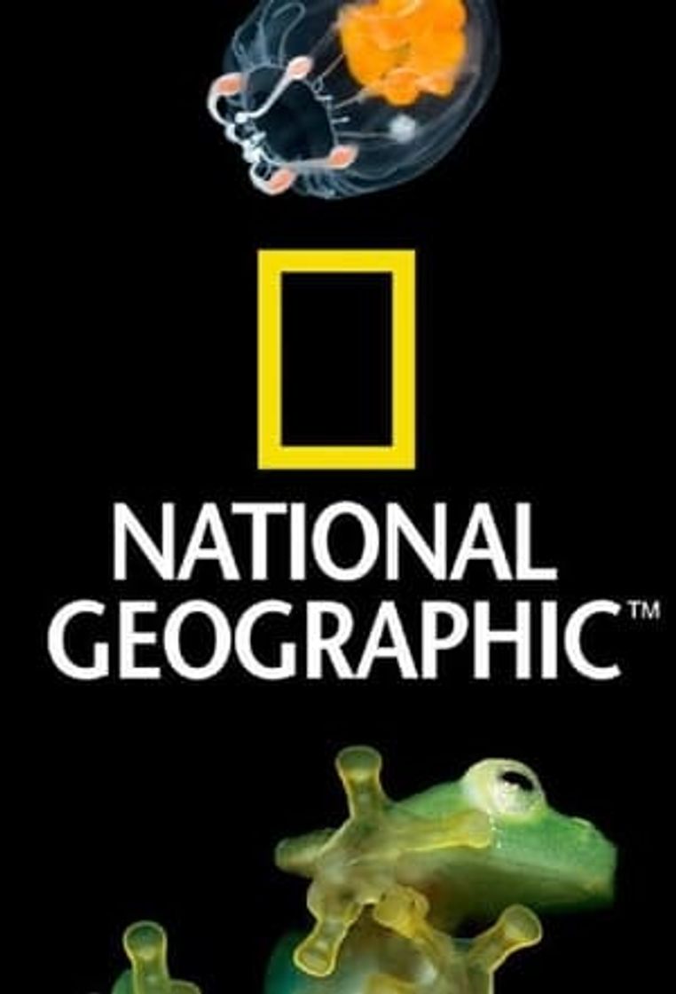 Serie National Geographic 100 Years