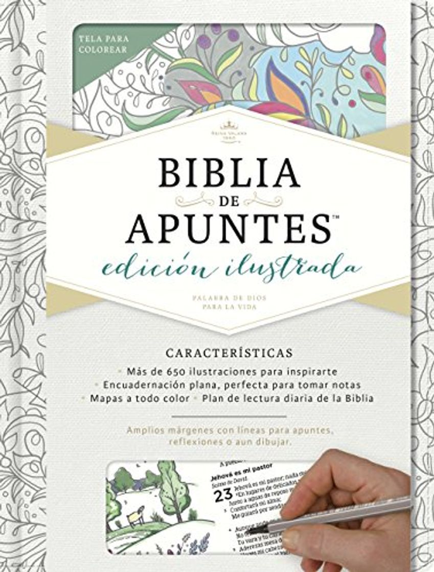 Books RVR 1960 Biblia de apuntes, edición ilustrada, blanco en tela para colorear