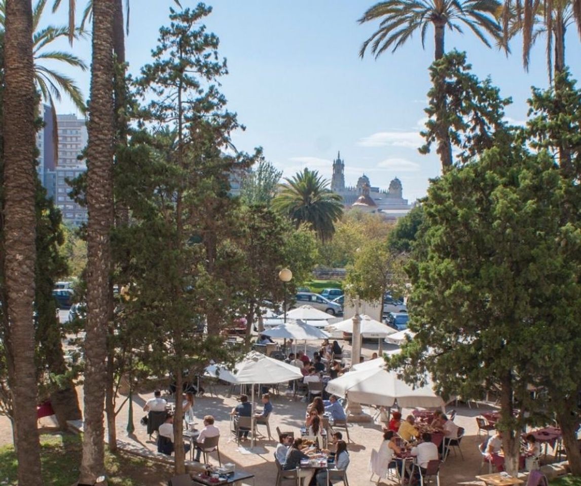 Place Paseo de la Alameda