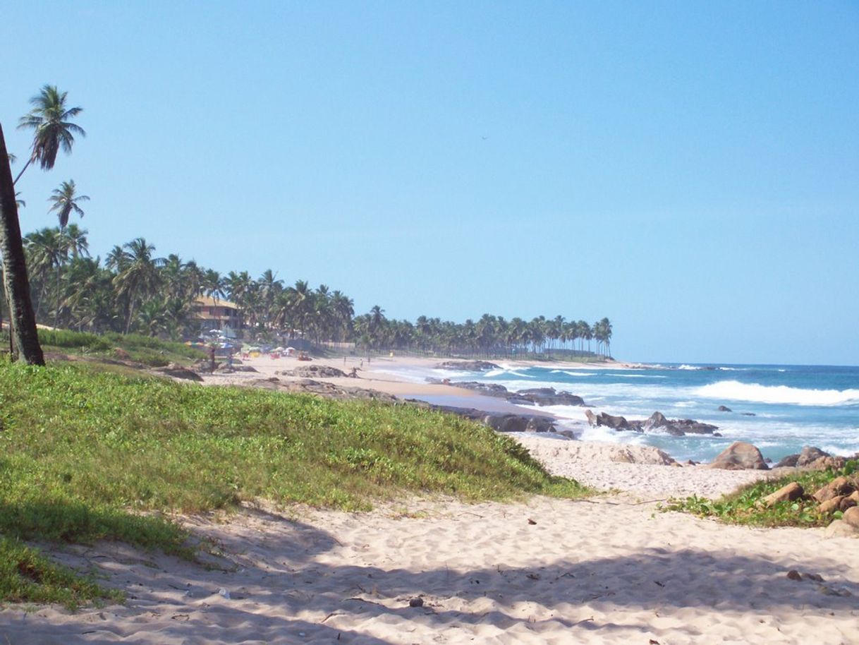 Places Praia Pedra do Sal