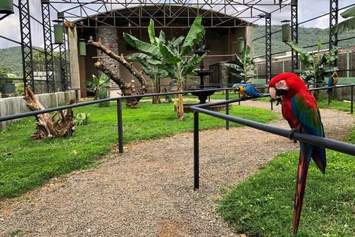 Place Zoo das Aves - Poços de Caldas