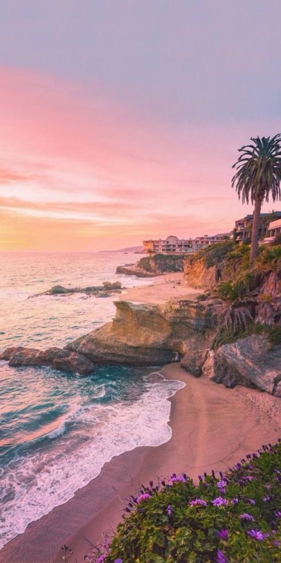 Moda Laguna Beach- California📍