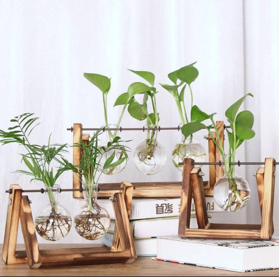 Moda Potinhos para plantas